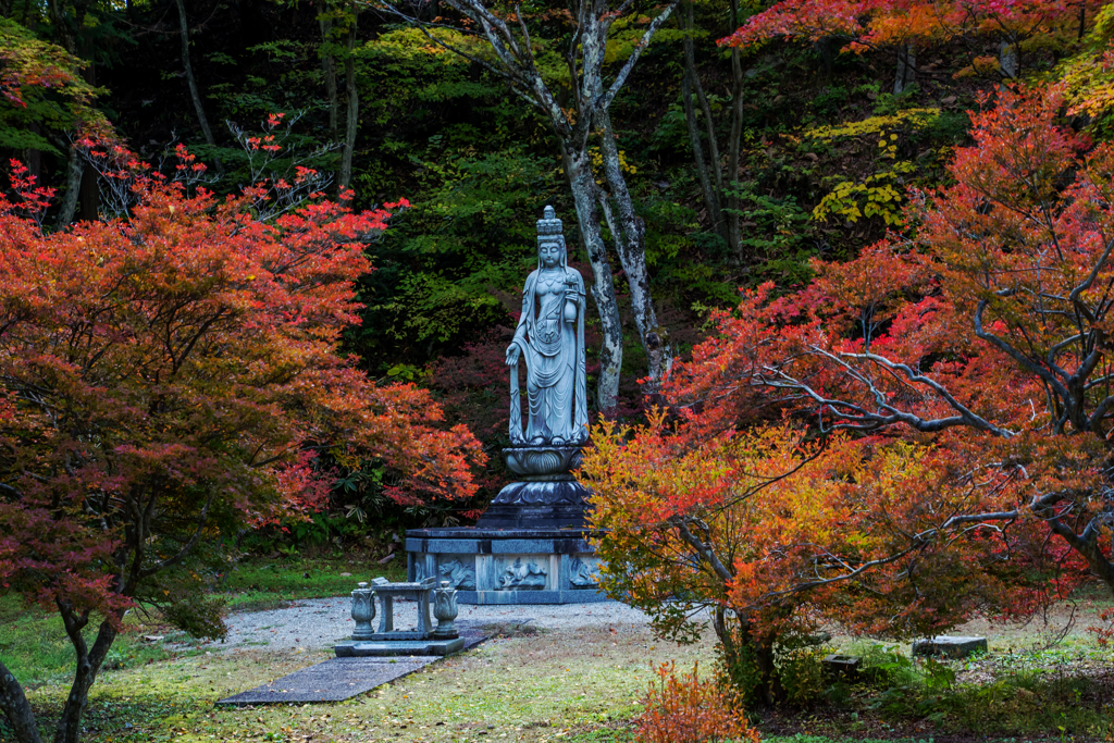 観音さまの赤添え、、