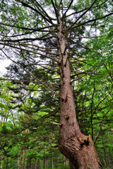 上高地でのひと時