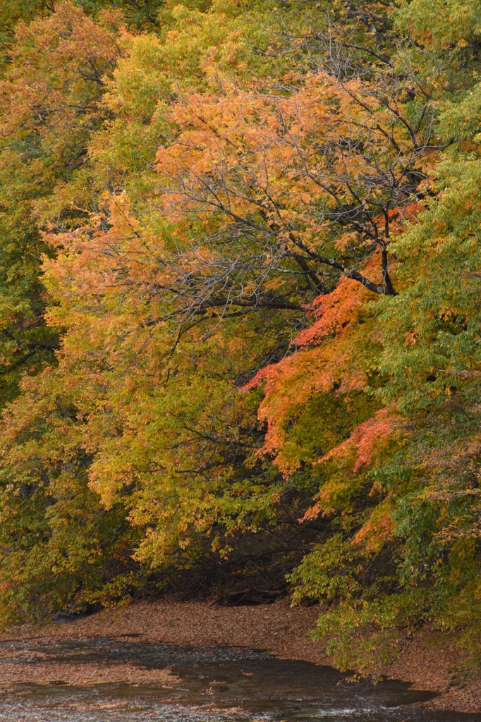 吹割の滝、遊歩道から１