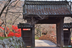 高遠城址にて８