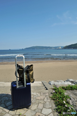 宇佐美海岸にて４