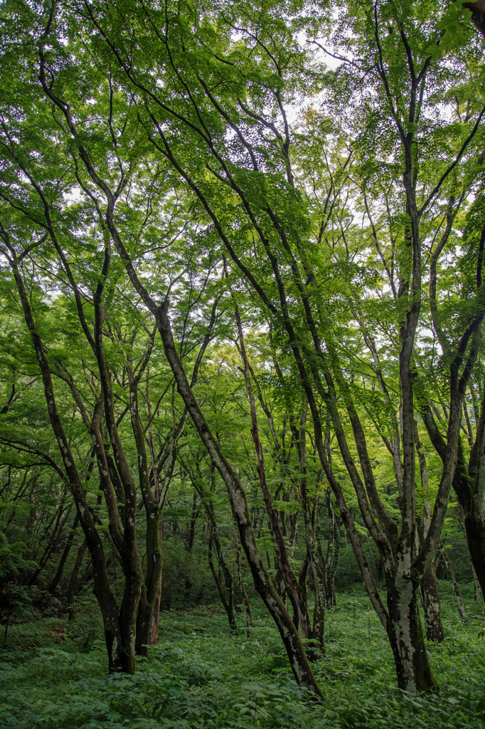 伊香保森林公園にて４