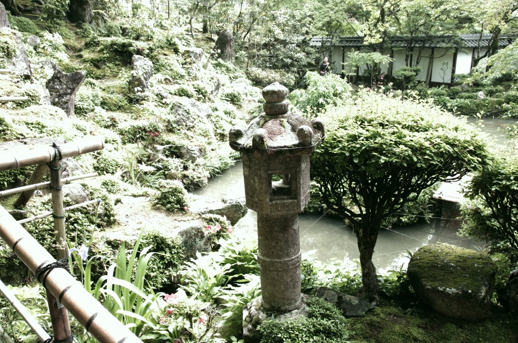 庭