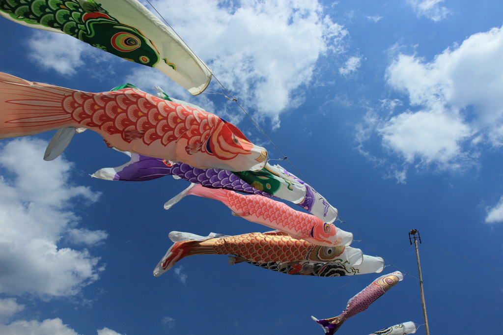 高く泳ぐや　鯉のぼり