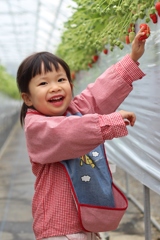 いちご狩り＾＾