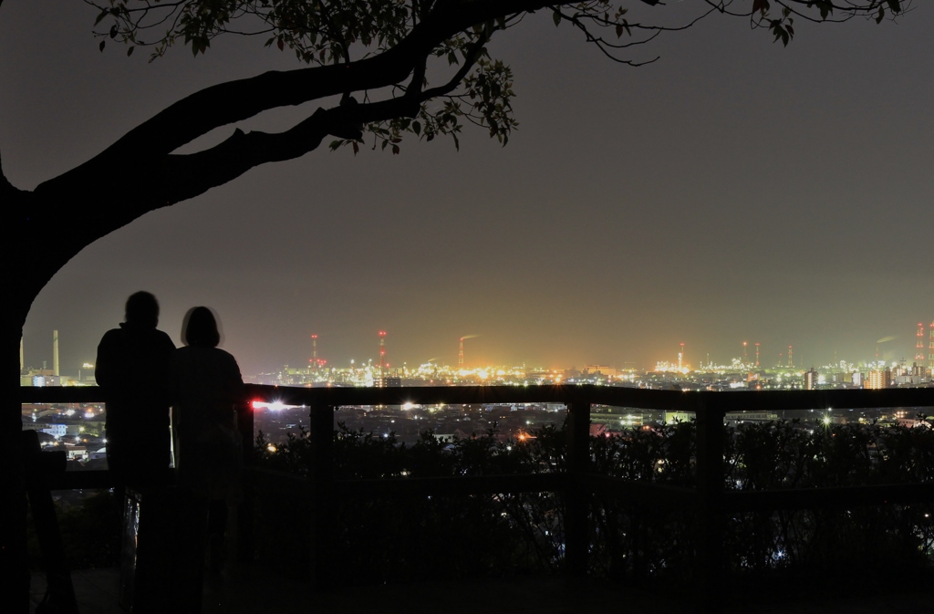 春の夜の煌めき
