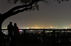 春の夜の煌めき
