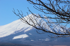 望む
