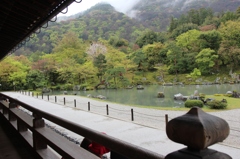 雨の曹源池庭園