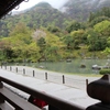 雨の曹源池庭園