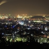 夜霧に煙る