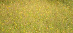 201408_16_1 (4 - 4)