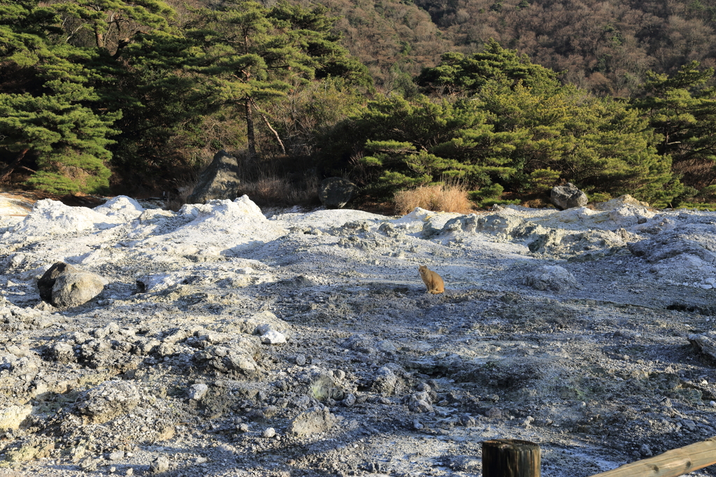 地獄巡り３