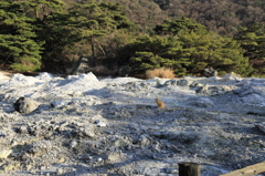 地獄巡り３
