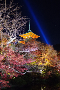 清水寺ライトアップ