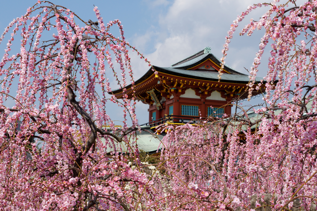 陽だまりの防府天満宮