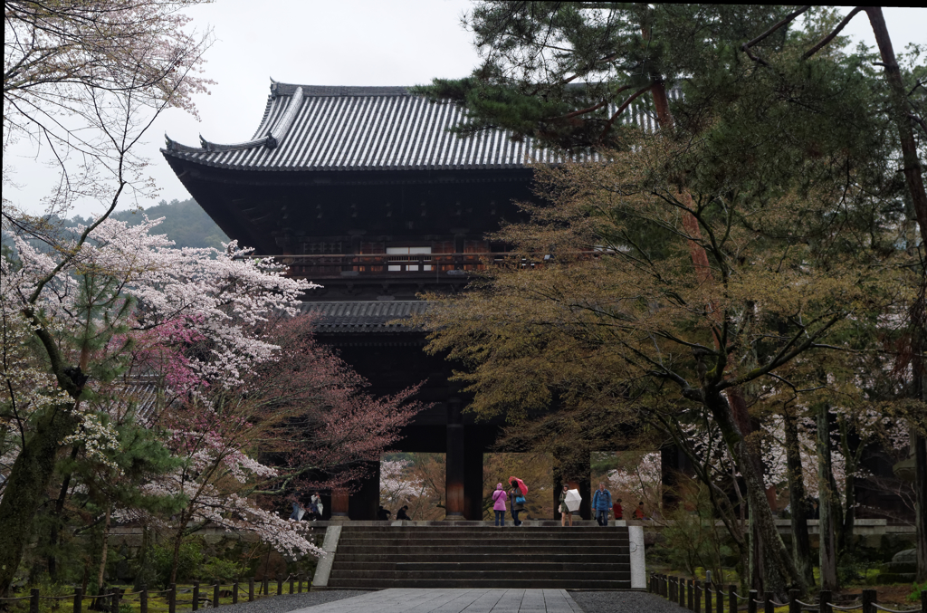 雨の三門