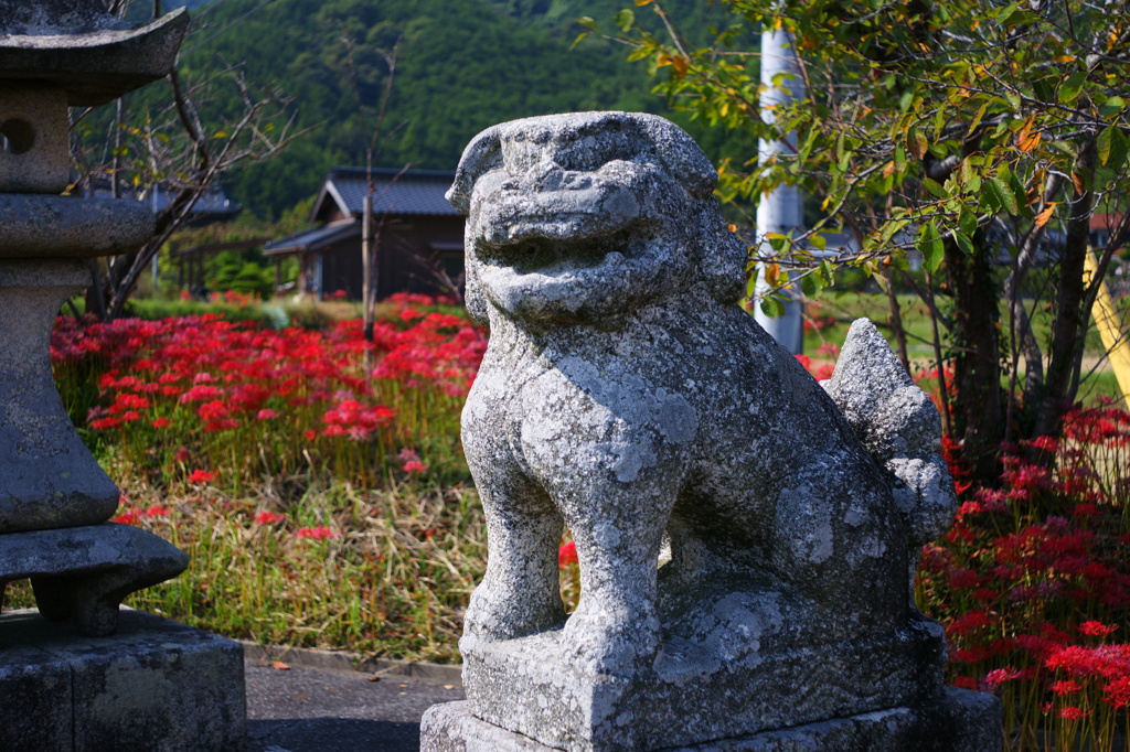 お出迎え