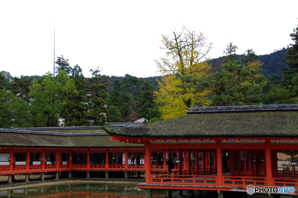 青空が．．．なあい．．．