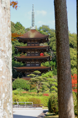 いろんな顔...瑠璃光寺五重塔Ⅳ