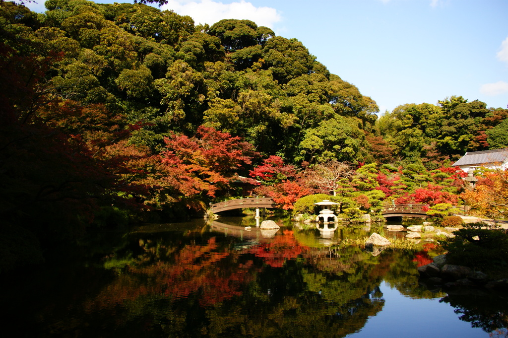 ちょっぴり早い紅葉かな...鏡