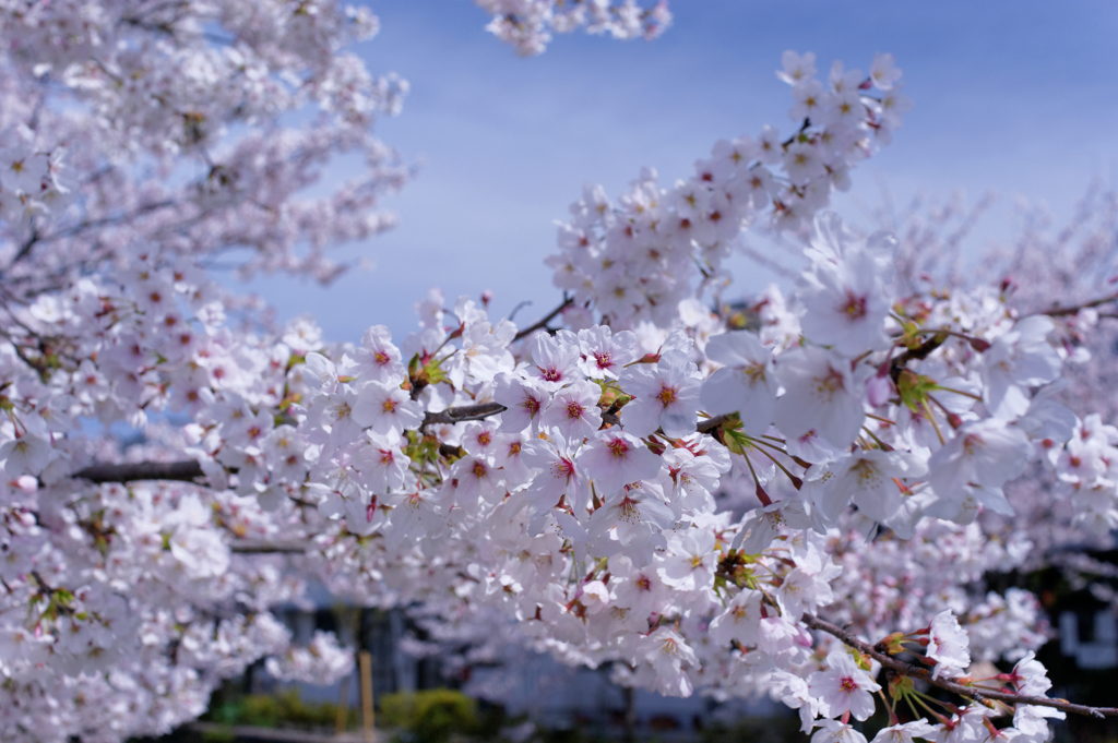 みんな～こっち向いて～