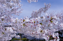 みんな～こっち向いて～