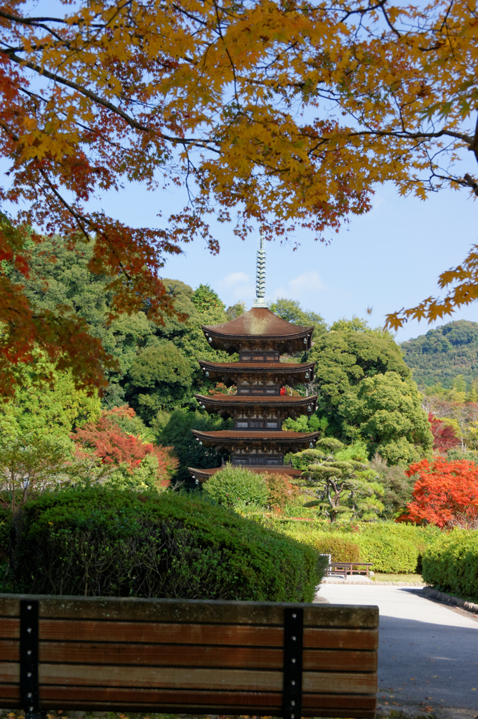 いろんな顔...瑠璃光寺五重塔Ⅶ