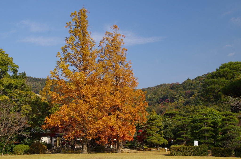 待ち遠しい秋・防府毛利邸Ⅱ