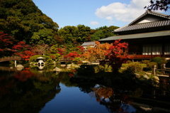 ちょっぴり早い紅葉かな...鏡Ⅱ