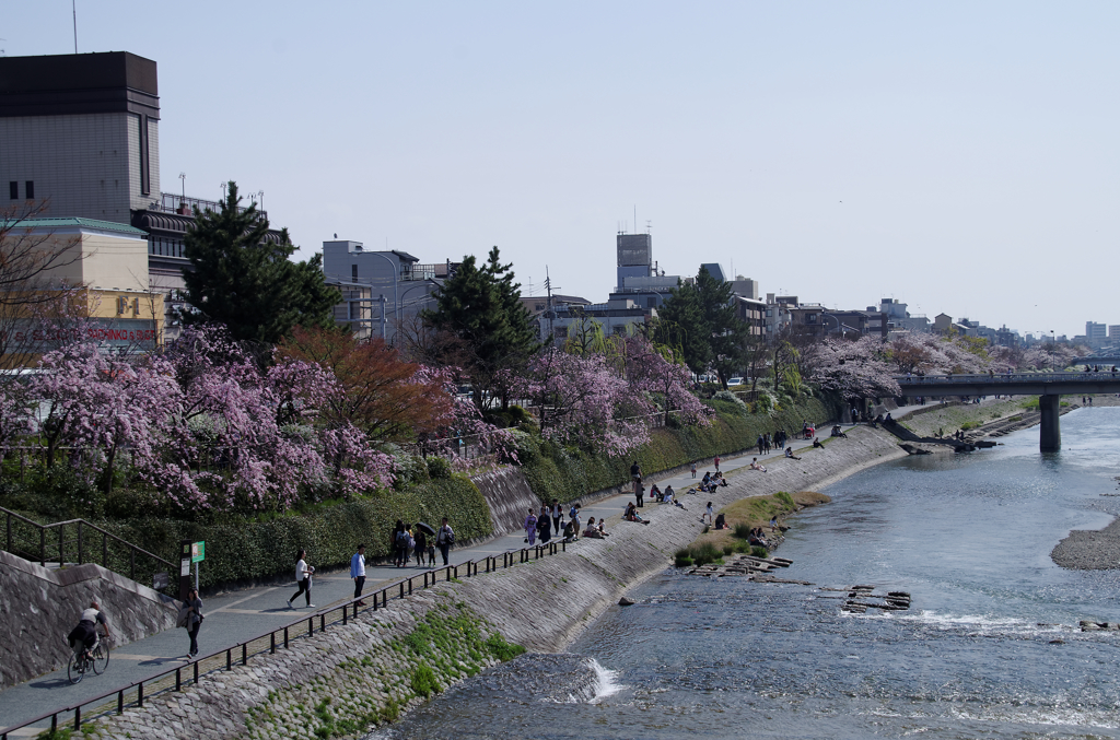 憩いの川辺