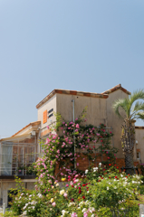 バラのレストラン