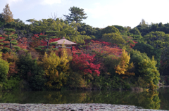 待ち遠しい秋・防府毛利邸Ⅲ