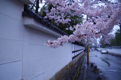 雨降るひと時