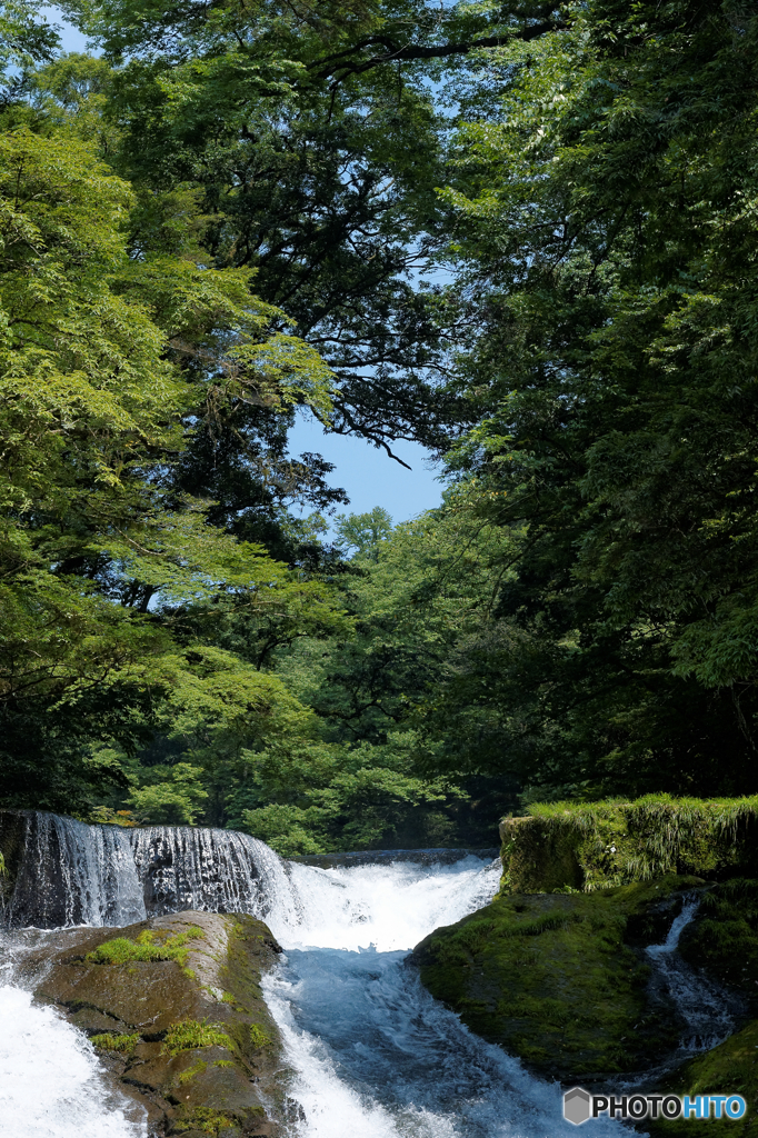 森の恵　清水