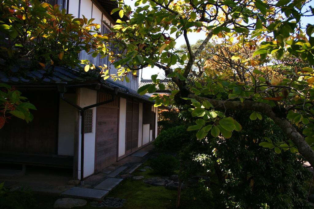 萩散策・・・木戸邸庭園Ⅴ