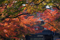 トンネルの向う