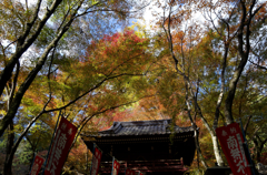 秋．．．早くこないかなぁ