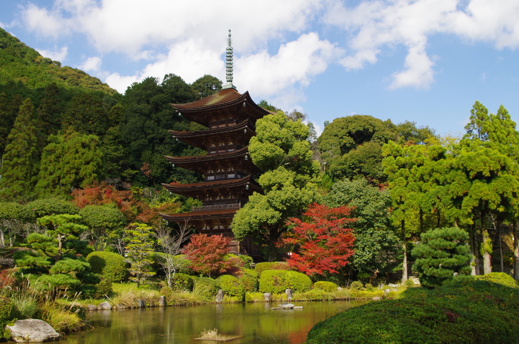 秋の瑠璃光寺五重塔