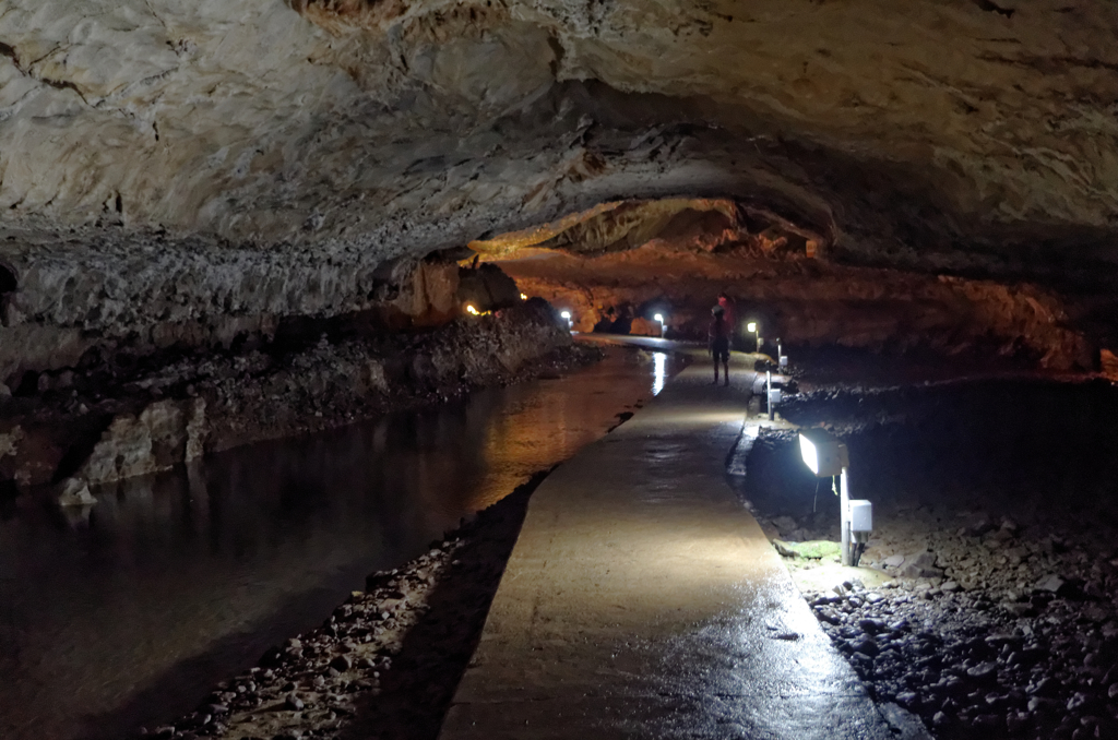 照明・・・消えないでよ～