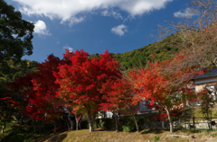 待ち遠しい秋・両足寺