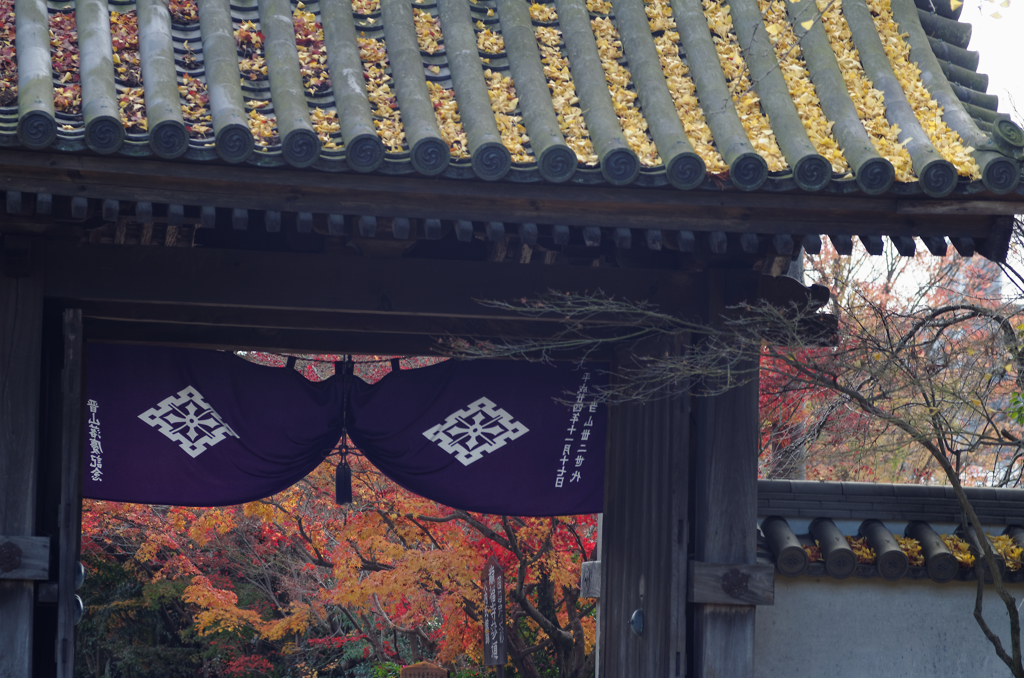 紅葉も終盤・・・門