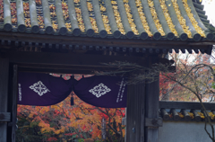 紅葉も終盤・・・門