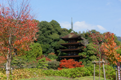 いろんな顔...瑠璃光寺五重塔