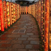 京友禅の森　Ⅲ