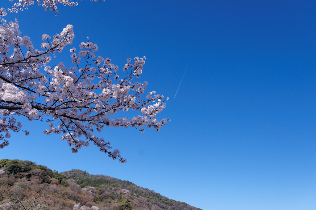 爽快な青空