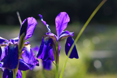 ちょっと眩しいな