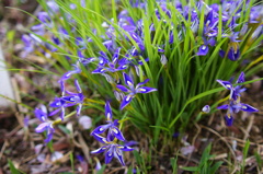 みんな集まって～