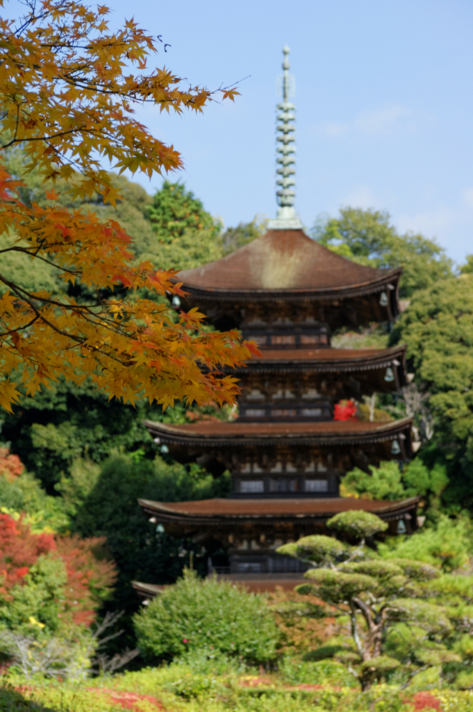 いろんな顔...瑠璃光寺五重塔Ⅵ