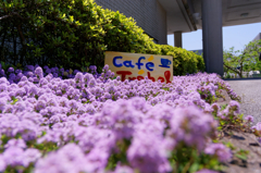 香りは伝わらないね～